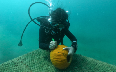 Underwater Pumpkin Carving Tips, Tricks & Treats