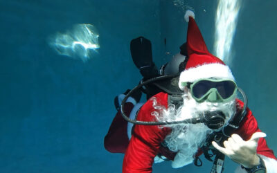 Great Gifts for Scuba Divers, Swimmers & More